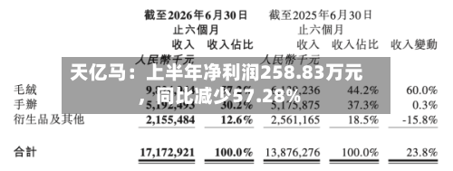天亿马：上半年净利润258.83万元，同比减少57.28%-第2张图片