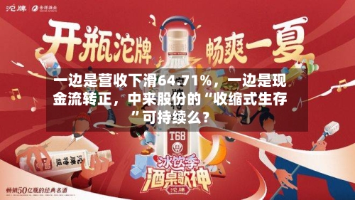 一边是营收下滑64.71%	，一边是现金流转正，中来股份的“收缩式生存	”可持续么？-第2张图片
