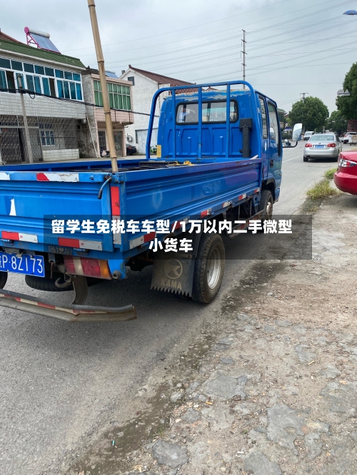 留学生免税车车型/1万以内二手微型小货车-第3张图片