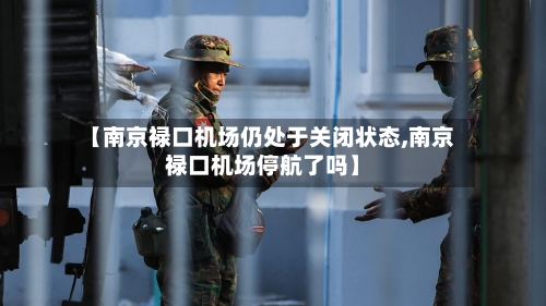 【南京禄口机场仍处于关闭状态,南京禄口机场停航了吗】-第3张图片