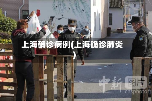 上海确诊病例(上海确诊肺炎)-第2张图片