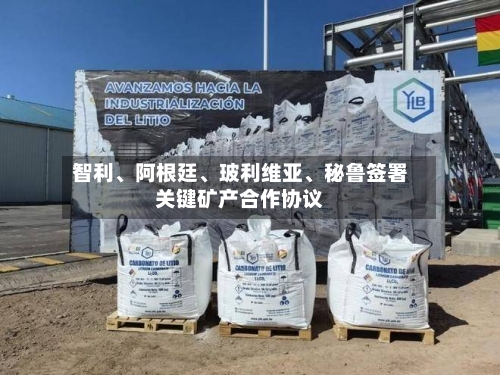 智利、阿根廷、玻利维亚	、秘鲁签署关键矿产合作协议-第3张图片