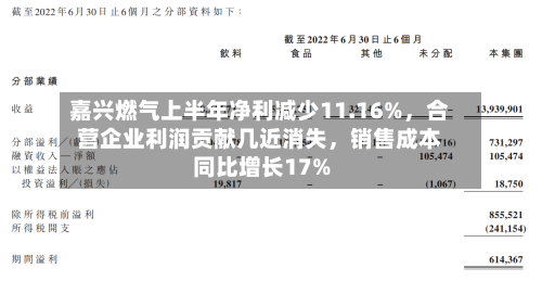 嘉兴燃气上半年净利减少11.16%，合营企业利润贡献几近消失，销售成本同比增长17%-第3张图片