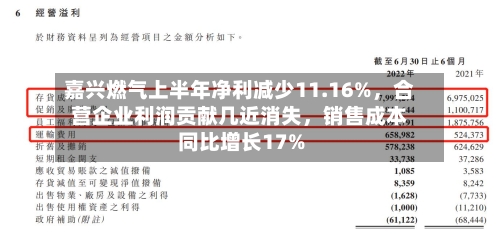 嘉兴燃气上半年净利减少11.16%，合营企业利润贡献几近消失	，销售成本同比增长17%-第2张图片