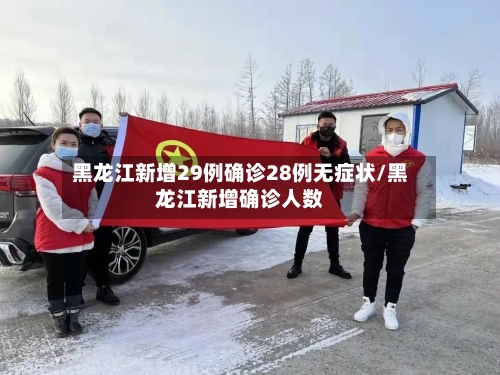 黑龙江新增29例确诊28例无症状/黑龙江新增确诊人数