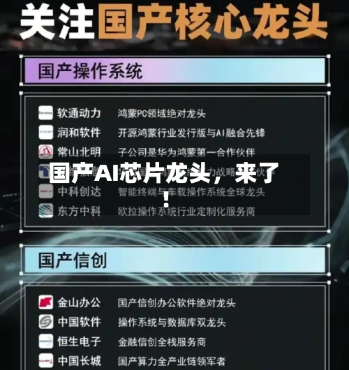 国产AI芯片龙头	，来了！-第3张图片