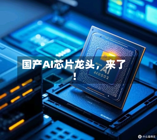 国产AI芯片龙头，来了！-第2张图片