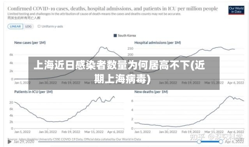 上海近日感染者数量为何居高不下(近期上海病毒)