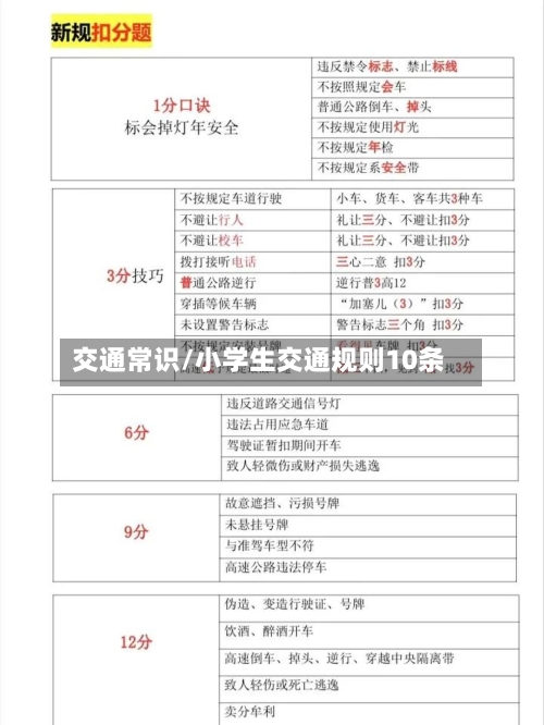交通常识/小学生交通规则10条