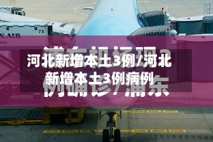河北新增本土3例/河北新增本土3例病例