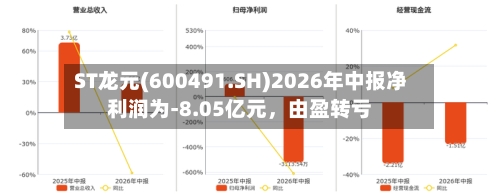ST龙元(600491.SH)2026年中报净利润为-8.05亿元	，由盈转亏-第2张图片