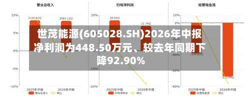 世茂能源(605028.SH)2026年中报净利润为448.50万元、较去年同期下降92.90%-第3张图片