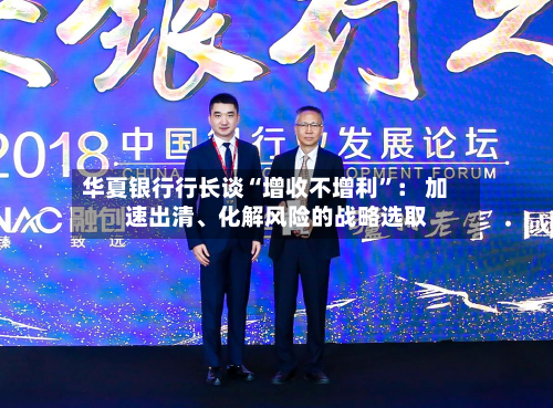 华夏银行行长谈“增收不增利	”： 加速出清、化解风险的战略选取-第2张图片