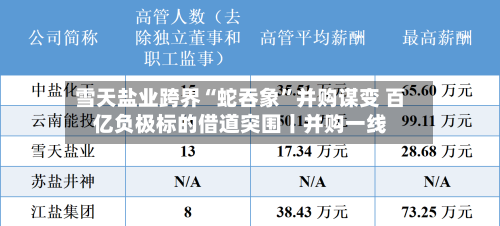 雪天盐业跨界“蛇吞象”并购谋变 百亿负极标的借道突围丨并购一线-第2张图片