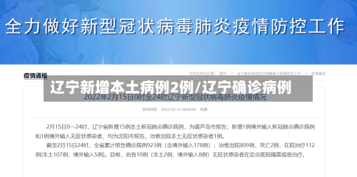 辽宁新增本土病例2例/辽宁确诊病例-第2张图片