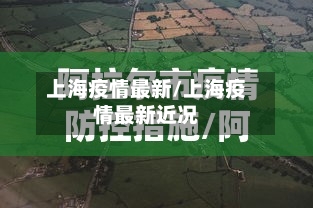 上海疫情最新/上海疫情最新近况-第2张图片