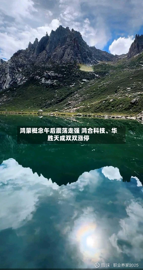 鸿蒙概念午后震荡走强 鸿合科技、华胜天成双双涨停-第2张图片