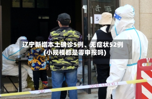 辽宁新增本土确诊5例、无症状52例(小规模都是零申报吗)