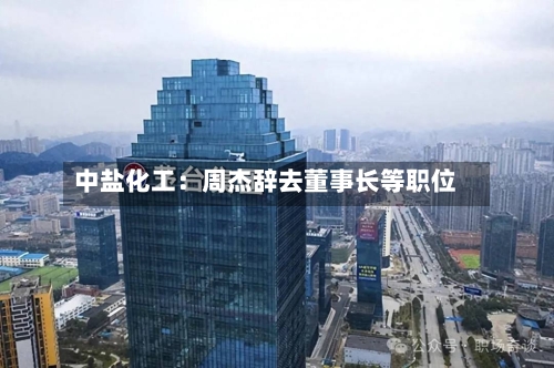 中盐化工：周杰辞去董事长等职位