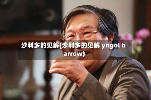 沙利多的见解(沙利多的见解 yngol barrow)