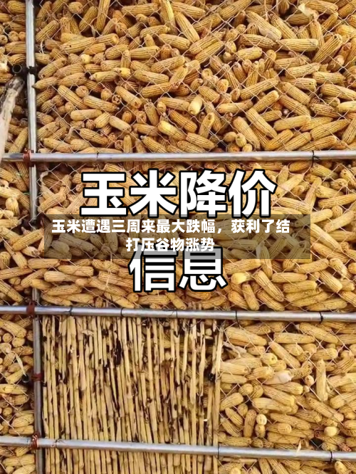 玉米遭遇三周来最大跌幅	，获利了结打压谷物涨势-第2张图片