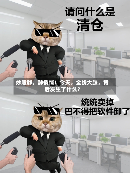 炒股群，静悄悄！今天，全线大跌，背后发生了什么？