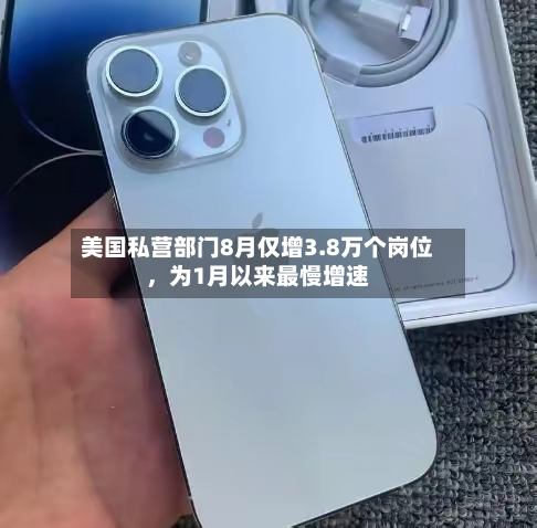 美国私营部门8月仅增3.8万个岗位	，为1月以来最慢增速-第2张图片