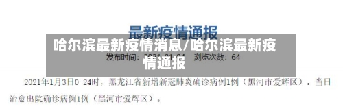 哈尔滨最新疫情消息/哈尔滨最新疫情通报-第3张图片