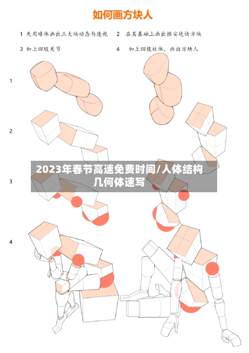 2023年春节高速免费时间/人体结构几何体速写-第2张图片