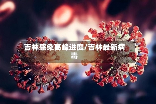 吉林感染高峰进度/吉林最新病毒-第3张图片