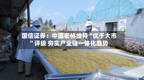 国信证券：中国宏桥维持“优于大市”评级 夯实产业链一体化趋势-第3张图片