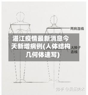 湛江疫情最新消息今天新增病例(人体结构几何体速写)