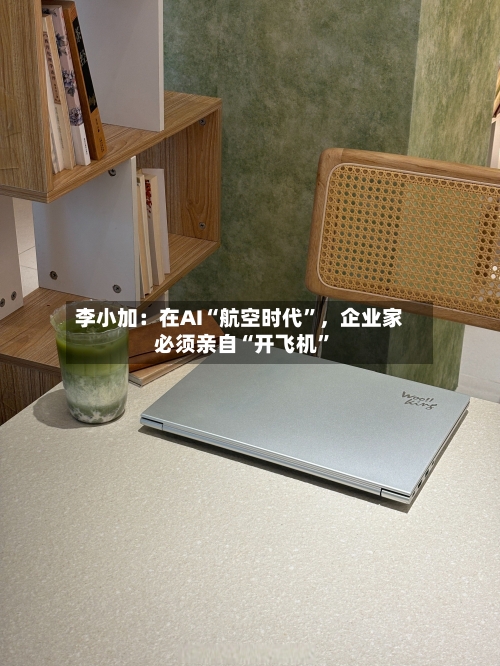 李小加：在AI“航空时代	”，企业家必须亲自“开飞机”-第2张图片