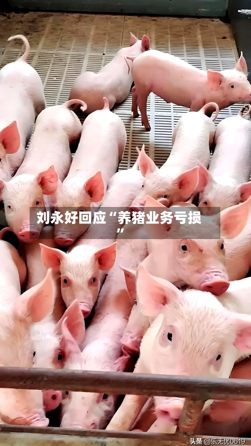 刘永好回应“养猪业务亏损	”-第2张图片